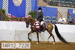14r12_7226 proof