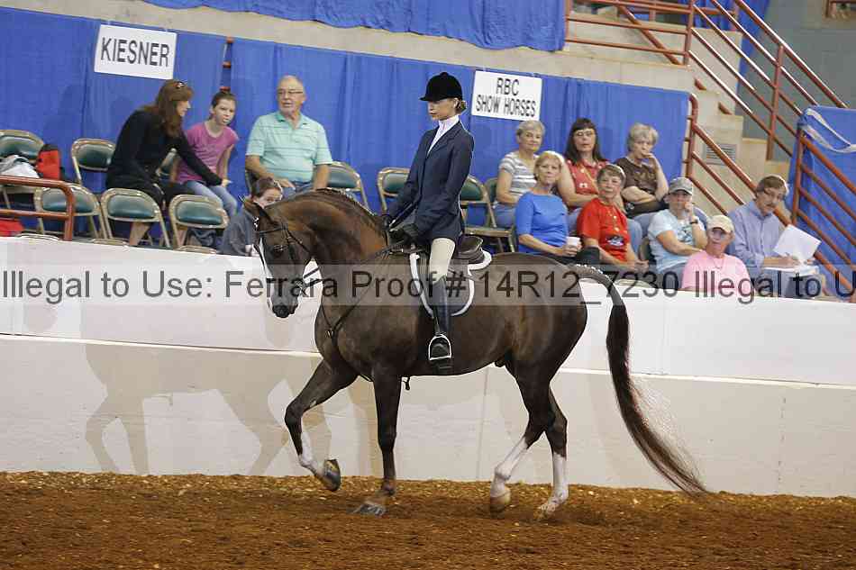 Proof 14r12_7230