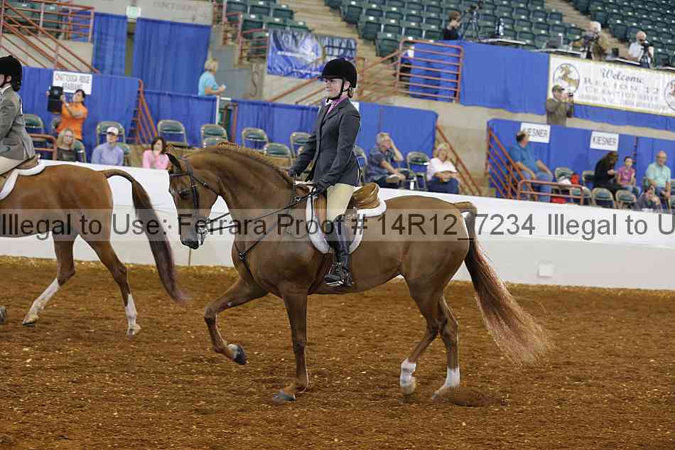Proof 14r12_7234