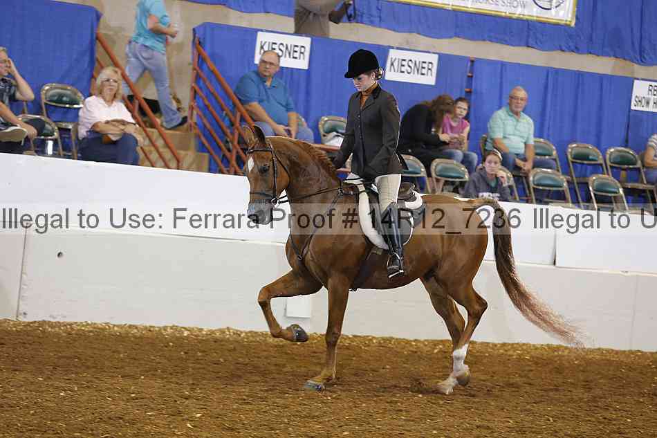 Proof 14r12_7236