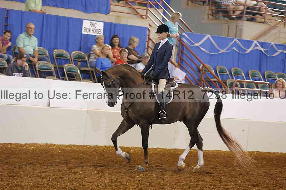 Proof 14r12_7238