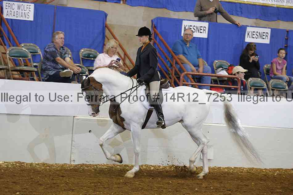 Proof 14r12_7253