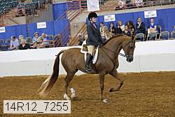 14r12_7255 proof