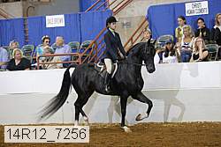 14r12_7256 proof