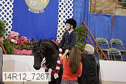 14r12_7267 proof