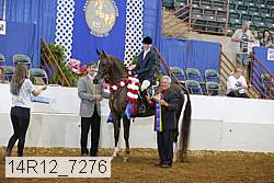 14r12_7276 proof