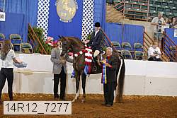 14r12_7277 proof