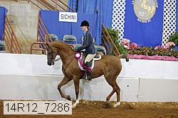 14r12_7286 proof