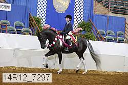 14r12_7297 proof