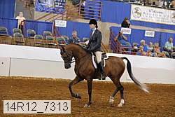 14r12_7313 proof