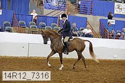 14r12_7316 proof