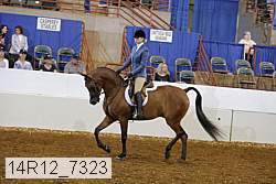 14r12_7323 proof