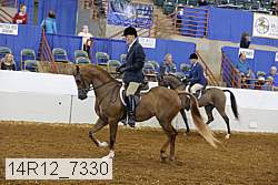 14r12_7330 proof