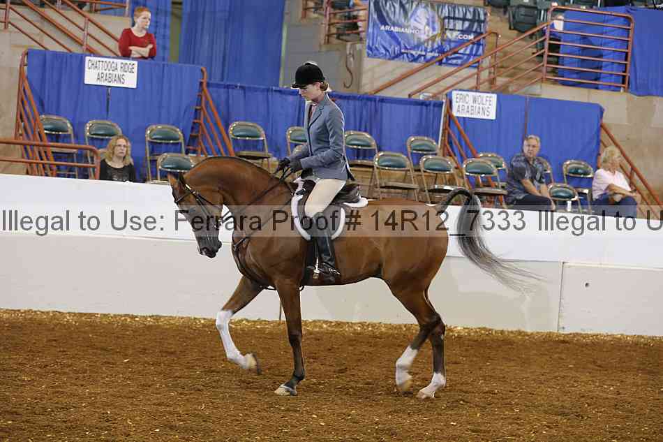 Proof 14r12_7333