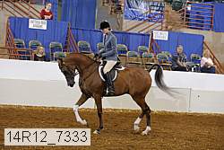 14r12_7333 proof