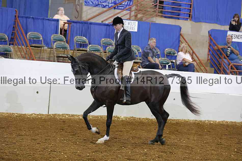 Proof 14r12_7335