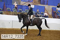 14r12_7335 proof