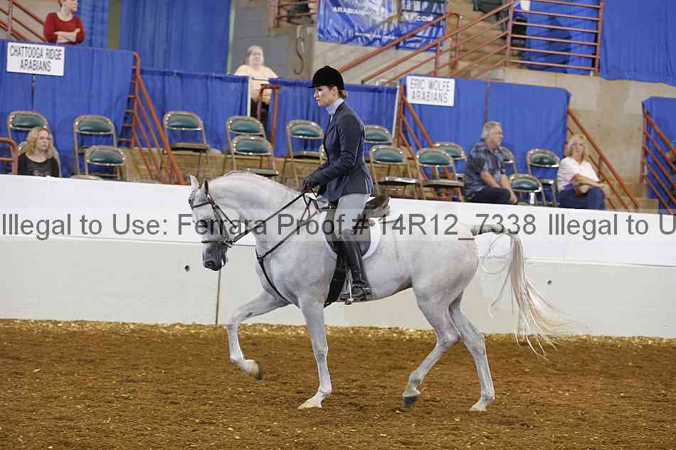 Proof 14r12_7338