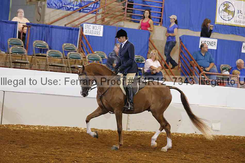 Proof 14r12_7343
