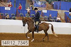 14r12_7345 proof