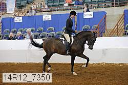 14r12_7350 proof