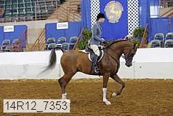 14r12_7353 proof