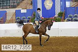 14r12_7355 proof