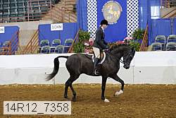 14r12_7358 proof