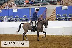14r12_7361 proof