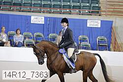 14r12_7363 proof