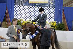 14r12_7365 proof
