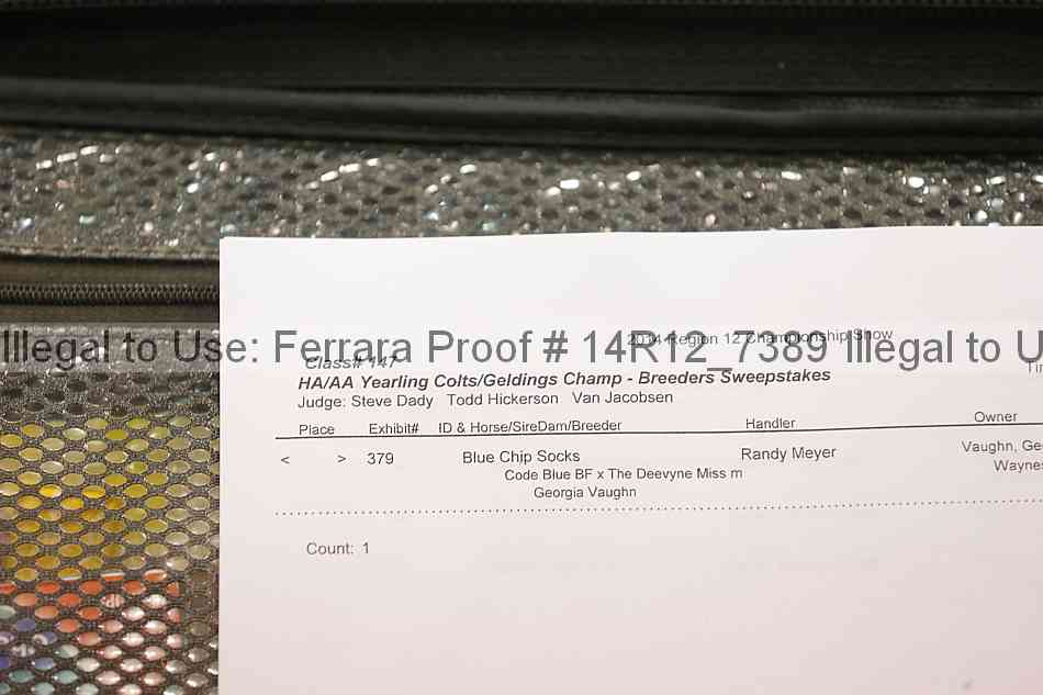 Proof 14r12_7389