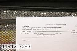 14r12_7389 proof