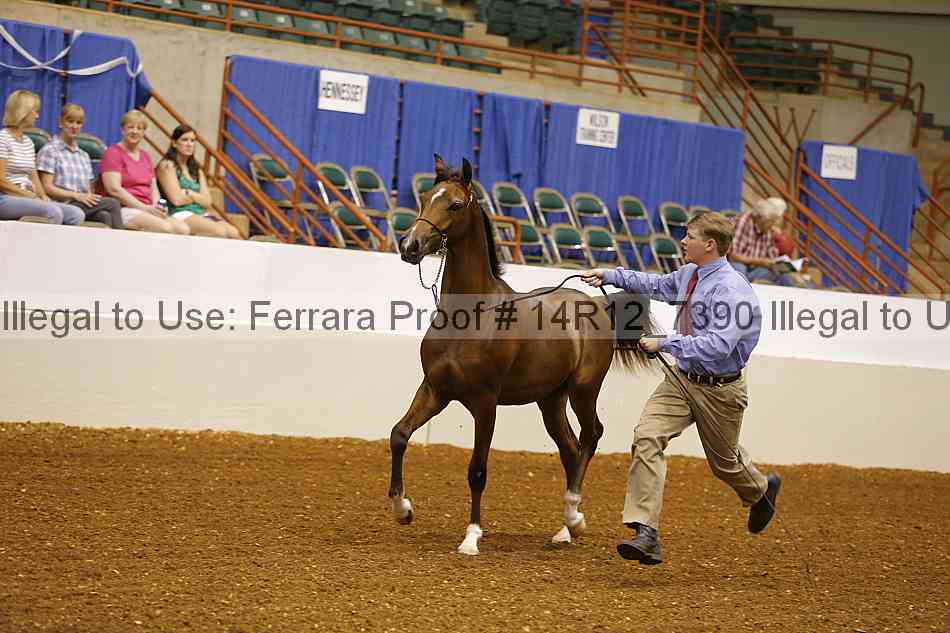 Proof 14r12_7390