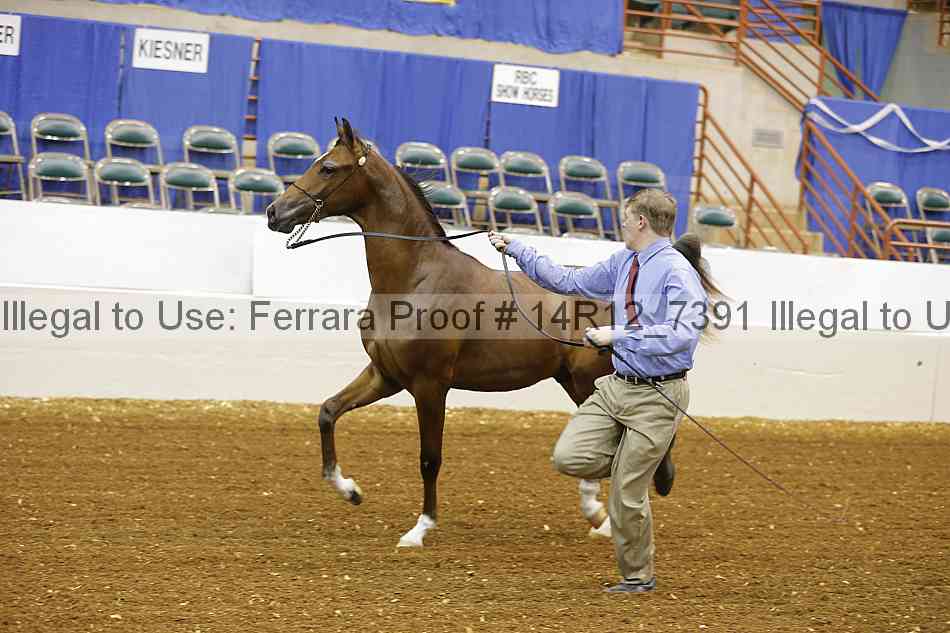 Proof 14r12_7391
