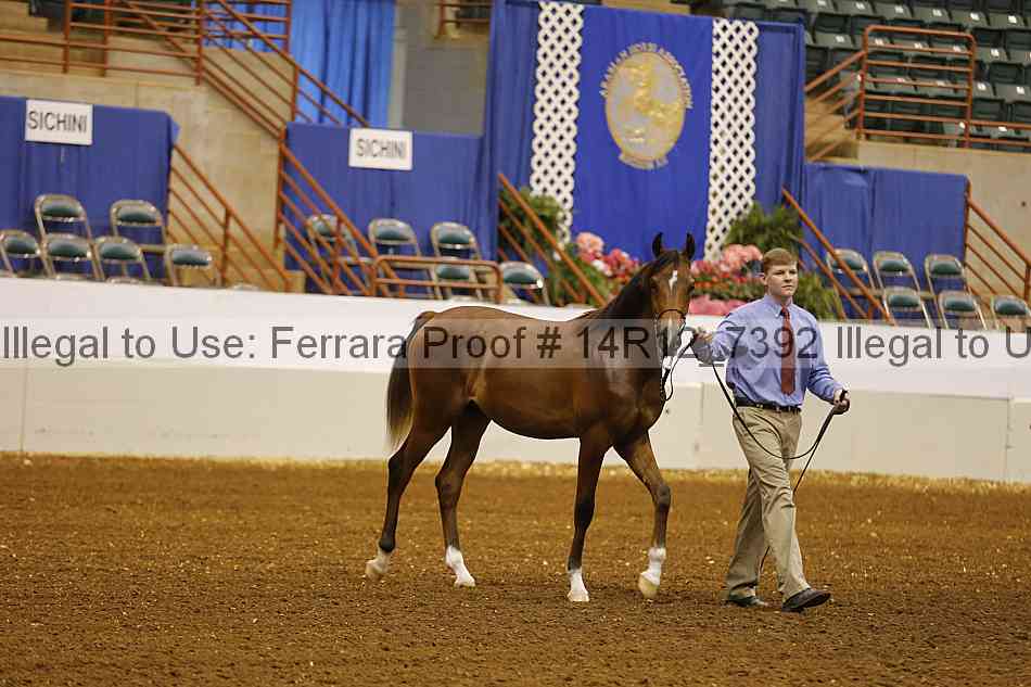 Proof 14r12_7392