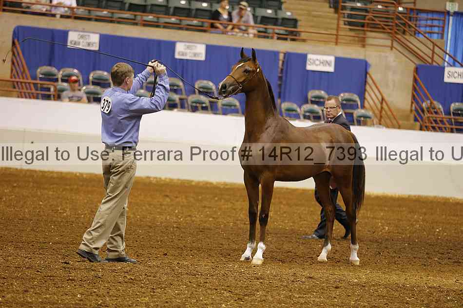 Proof 14r12_7393