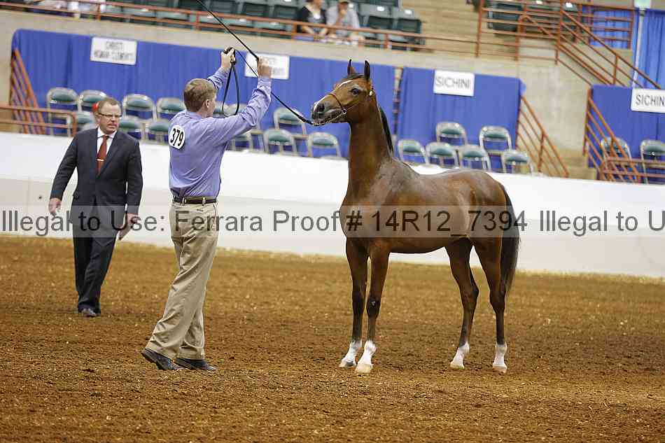 Proof 14r12_7394