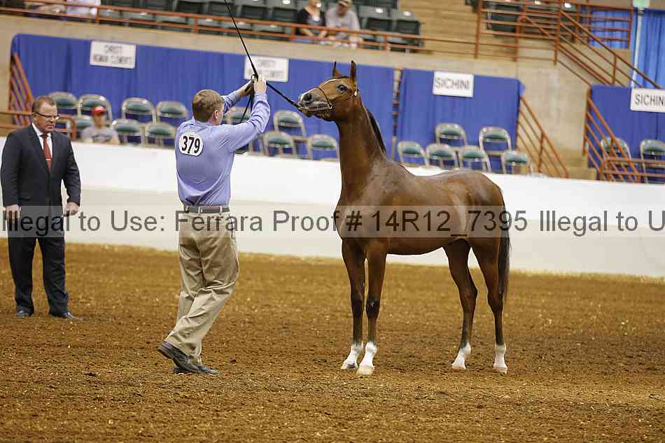 Proof 14r12_7395