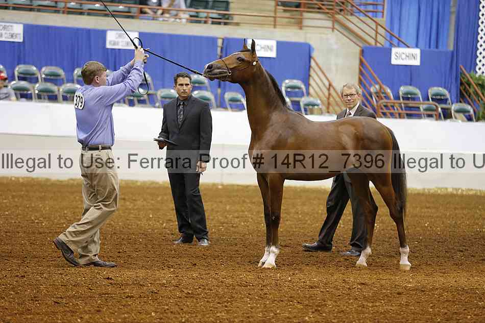 Proof 14r12_7396