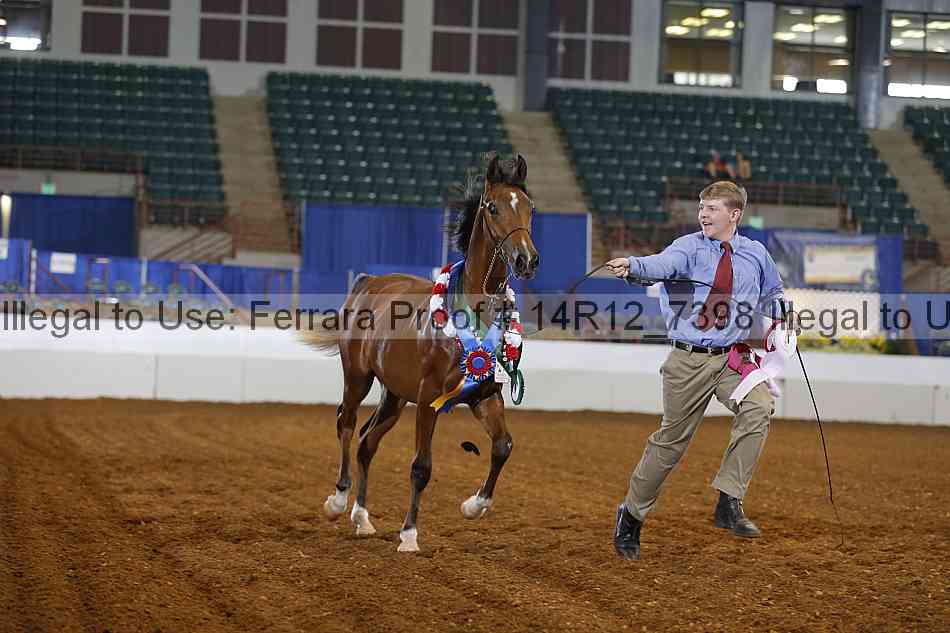 Proof 14r12_7398