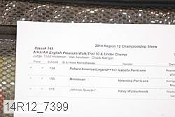 14r12_7399 proof