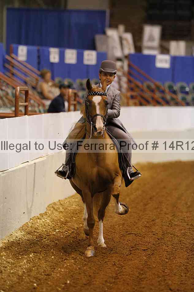 Proof 14r12_7402