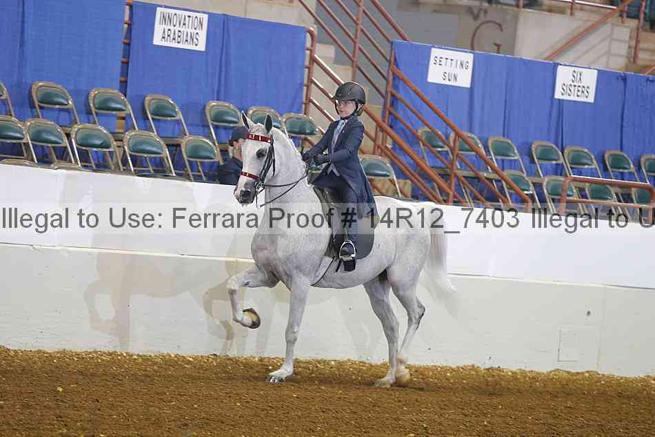 Proof 14r12_7403