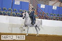 14r12_7403 proof