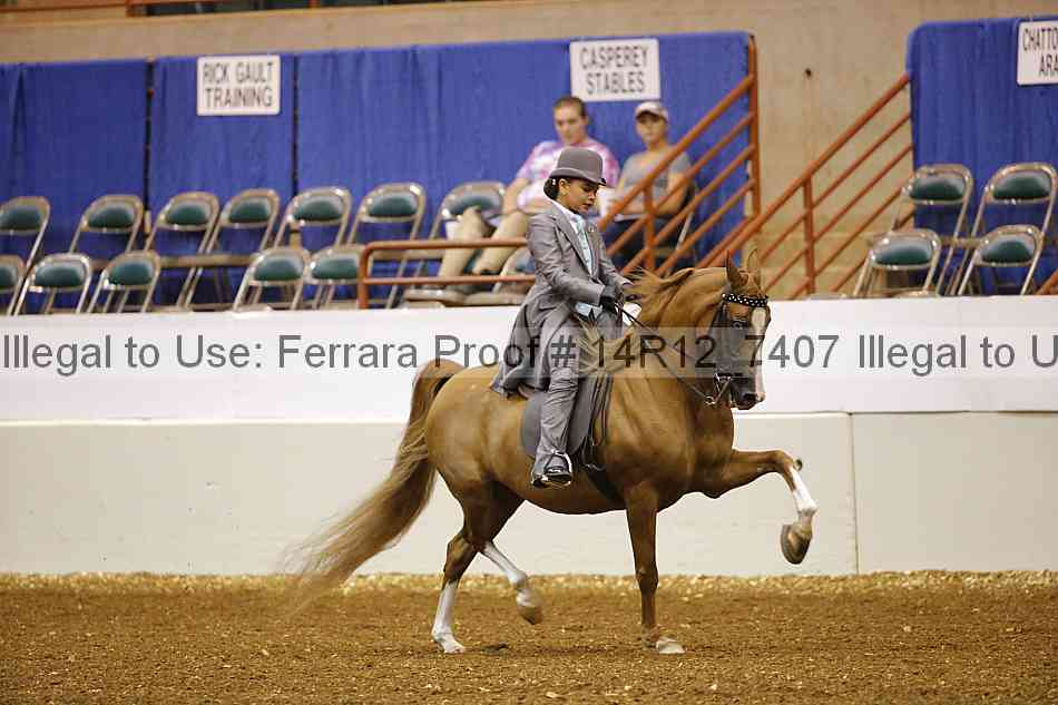 Proof 14r12_7407