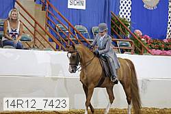 14r12_7423 proof