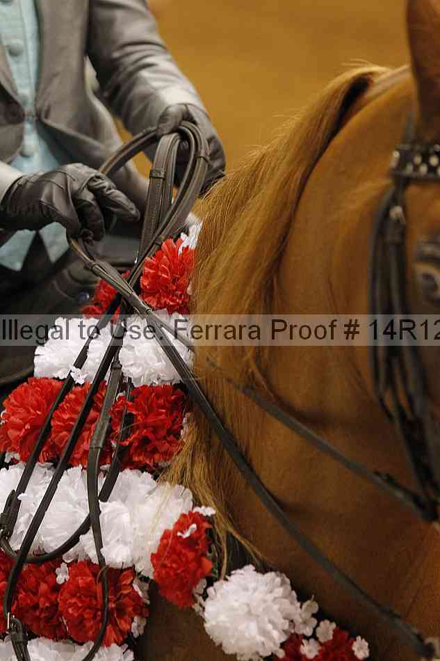 Proof 14r12_7429