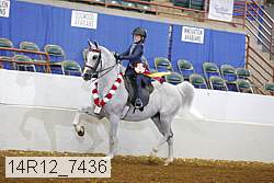 14r12_7436 proof