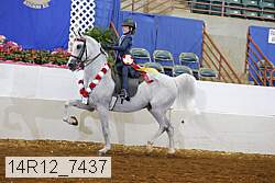 14r12_7437 proof
